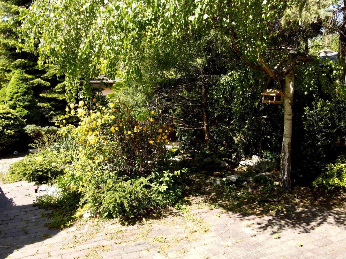 Pokoje Rezydencja Parysa Lublin Luaran gambar